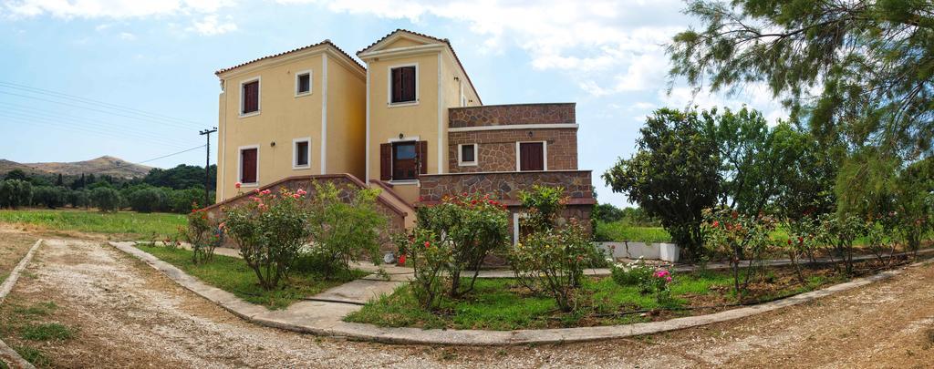 Lela Kaptani Eftalou Olive Grove Mithimna Luaran gambar