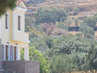 Lela Kaptani Eftalou Olive Grove Mithimna Luaran gambar